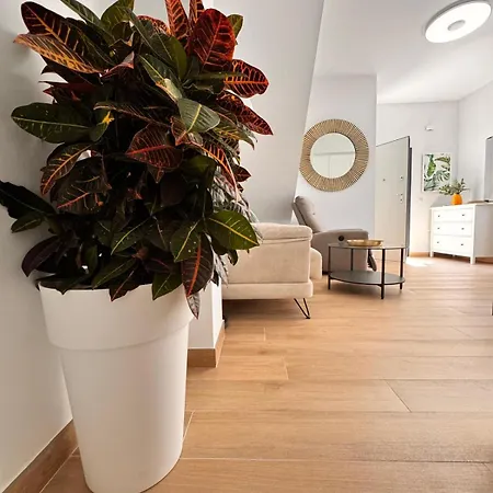 Appartement Carmen Centro *